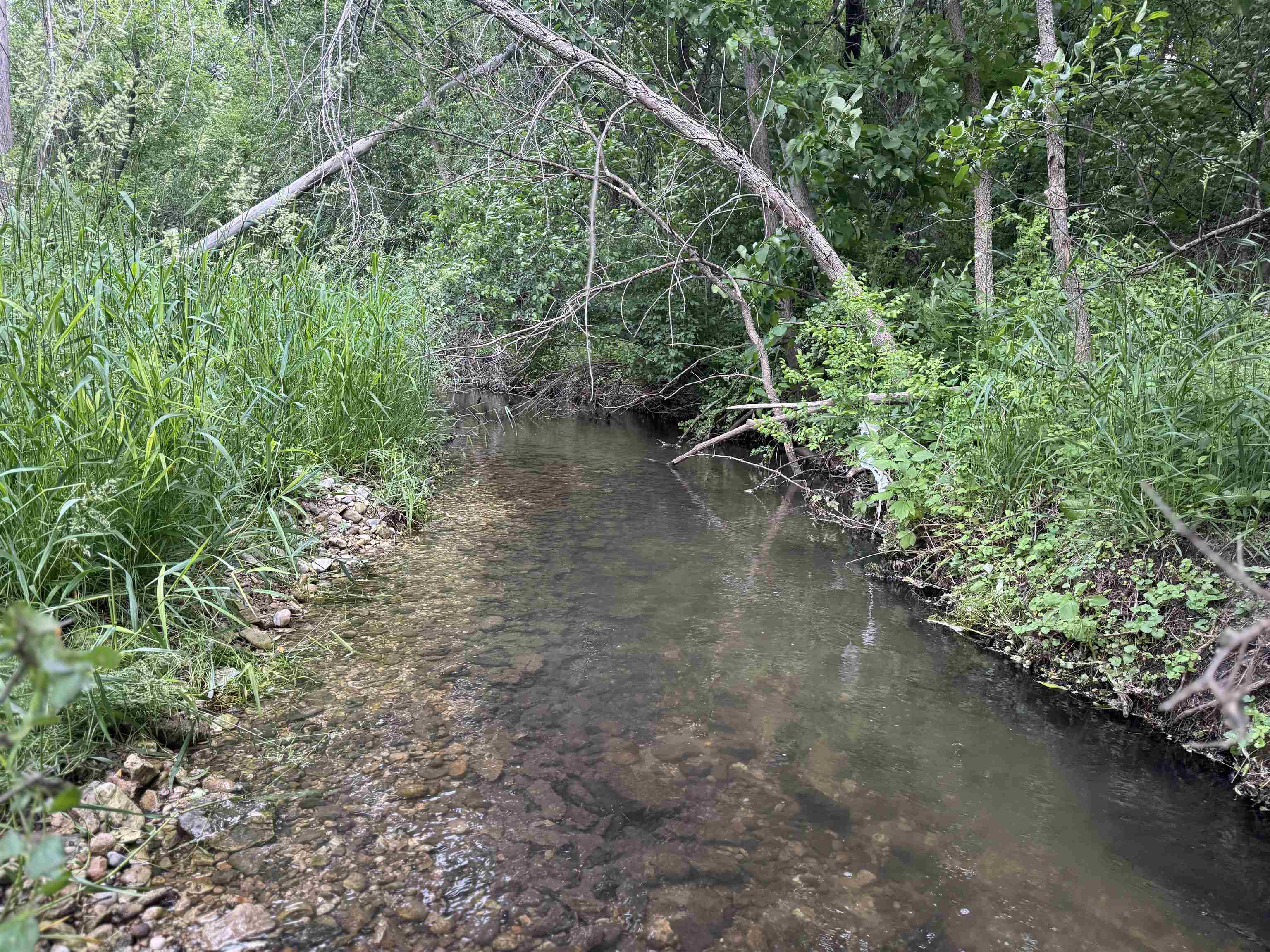 2300 Afton Road Janesville, WI 53548 - Photo 37 of 56