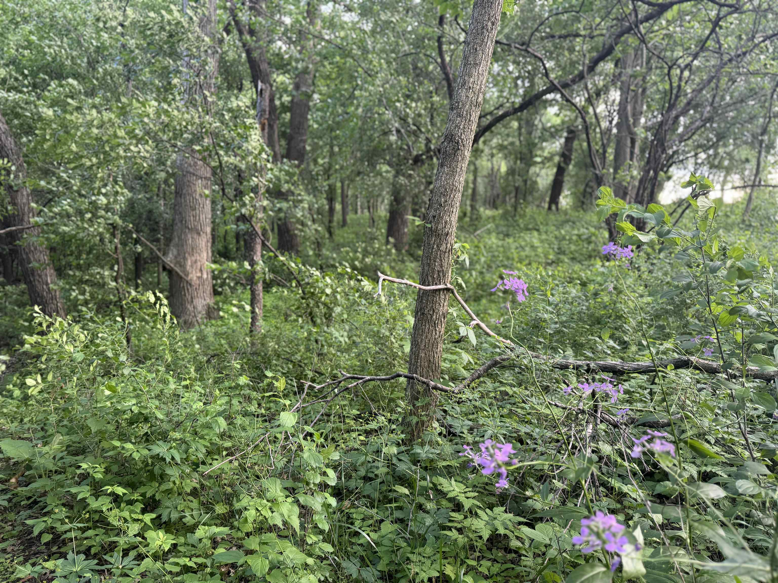 2300 Afton Road Janesville, WI 53548 - Photo 43 of 56