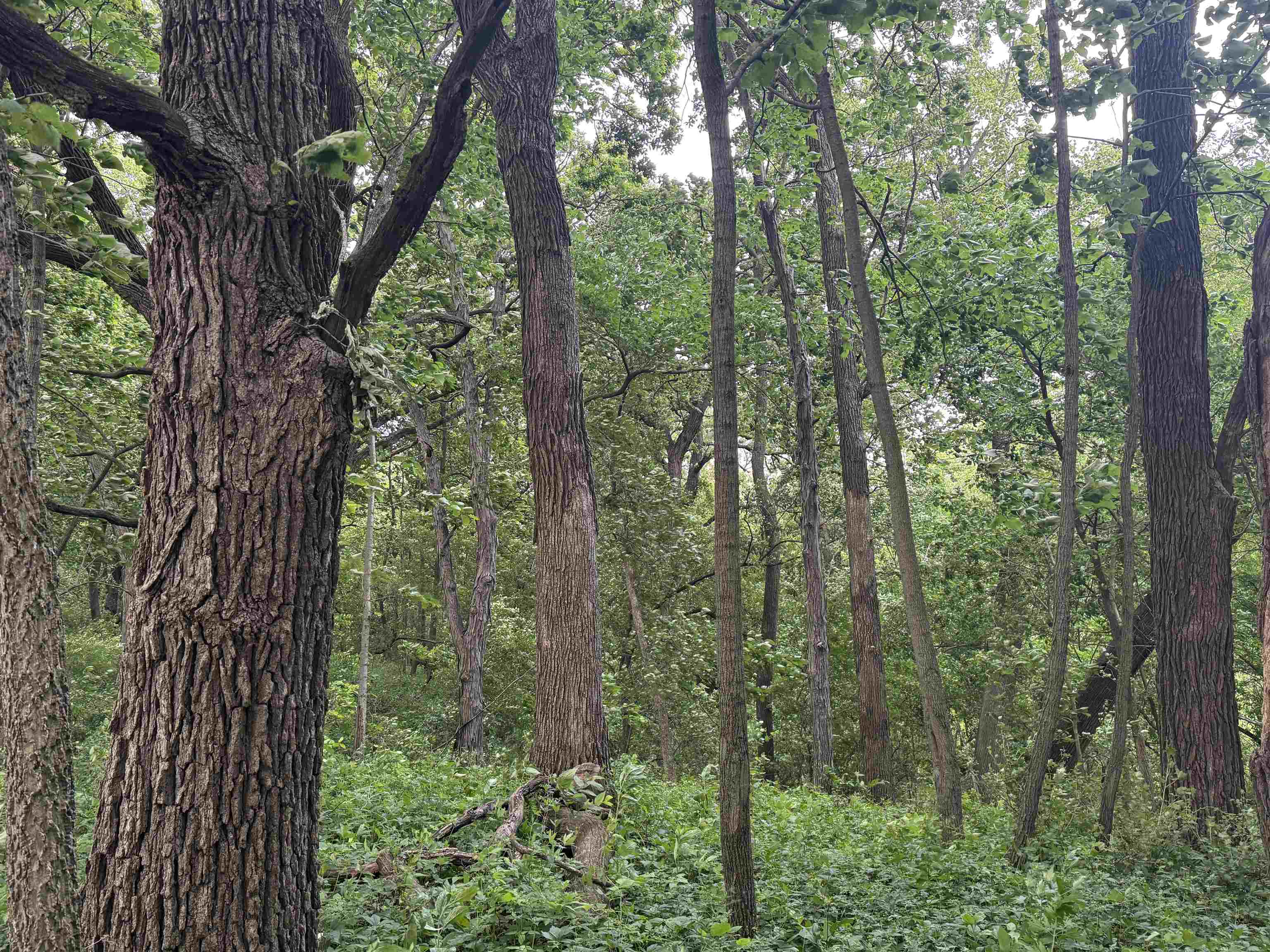 2300 Afton Road Janesville, WI 53548 - Photo 45 of 56