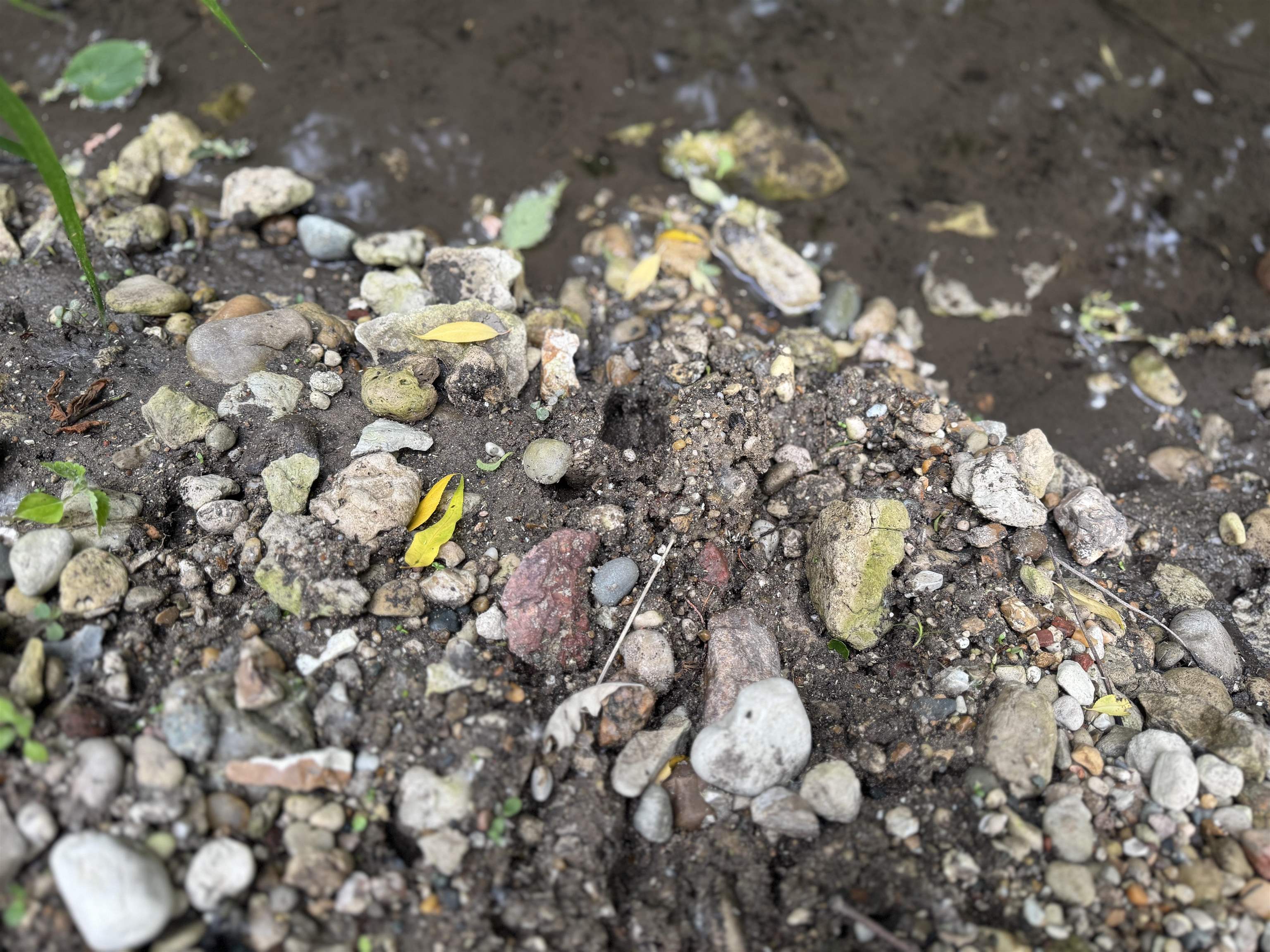 2300 Afton Road Janesville, WI 53548 - Photo 48 of 56