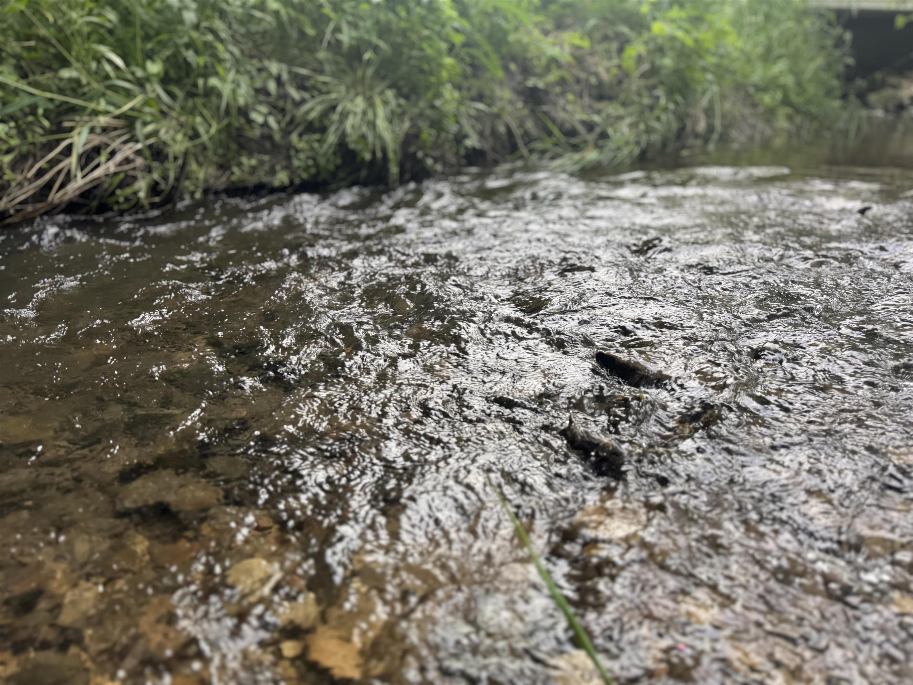 2300 Afton Road Janesville, WI 53548 - Photo 49 of 56