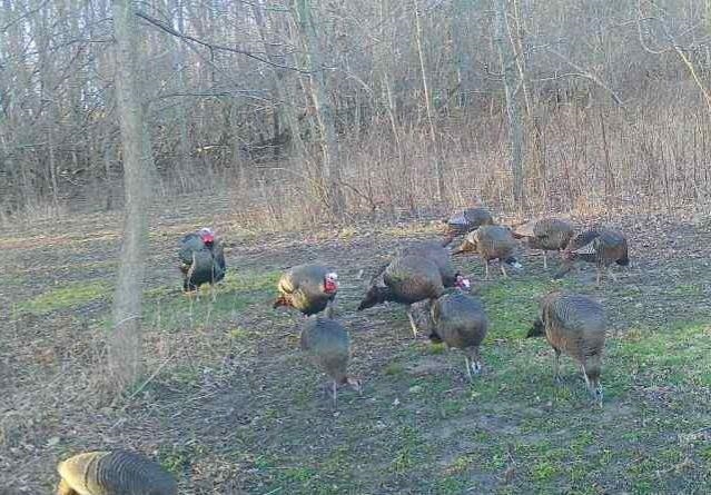 2300 Afton Road Janesville, WI 53548 - Photo 54 of 56