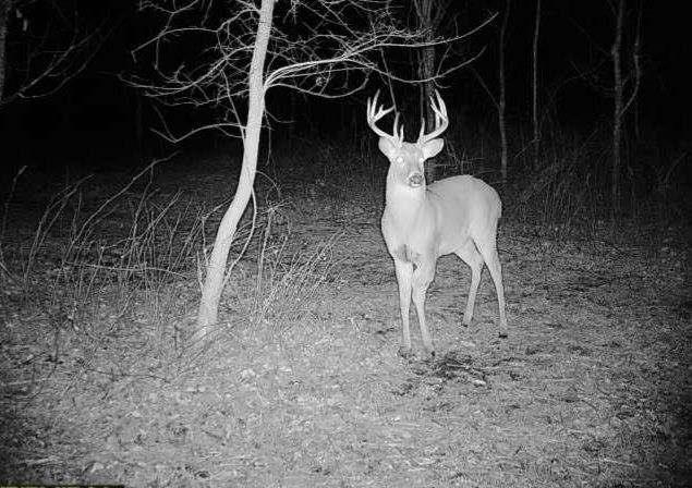 2300 Afton Road Janesville, WI 53548 - Photo 55 of 56