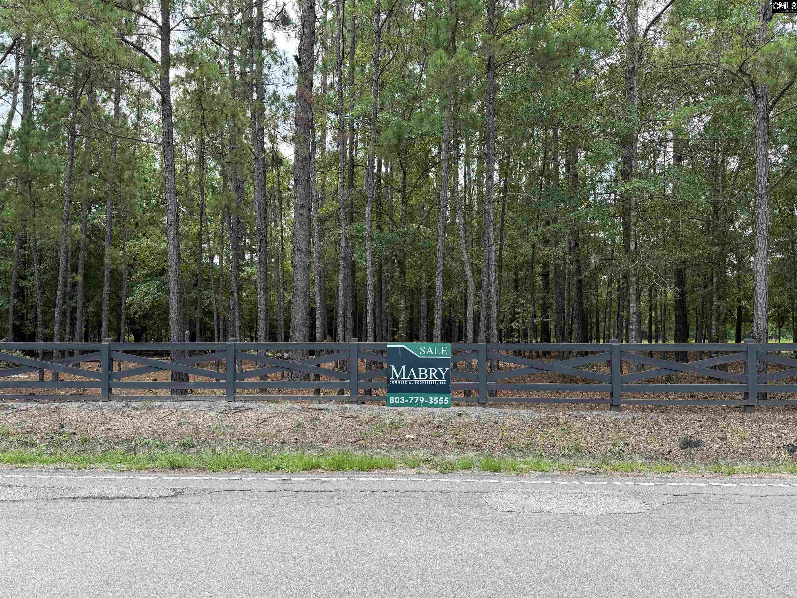 812 Sandfield Road Blythewood, SC 29016 - Photo 21 of 25