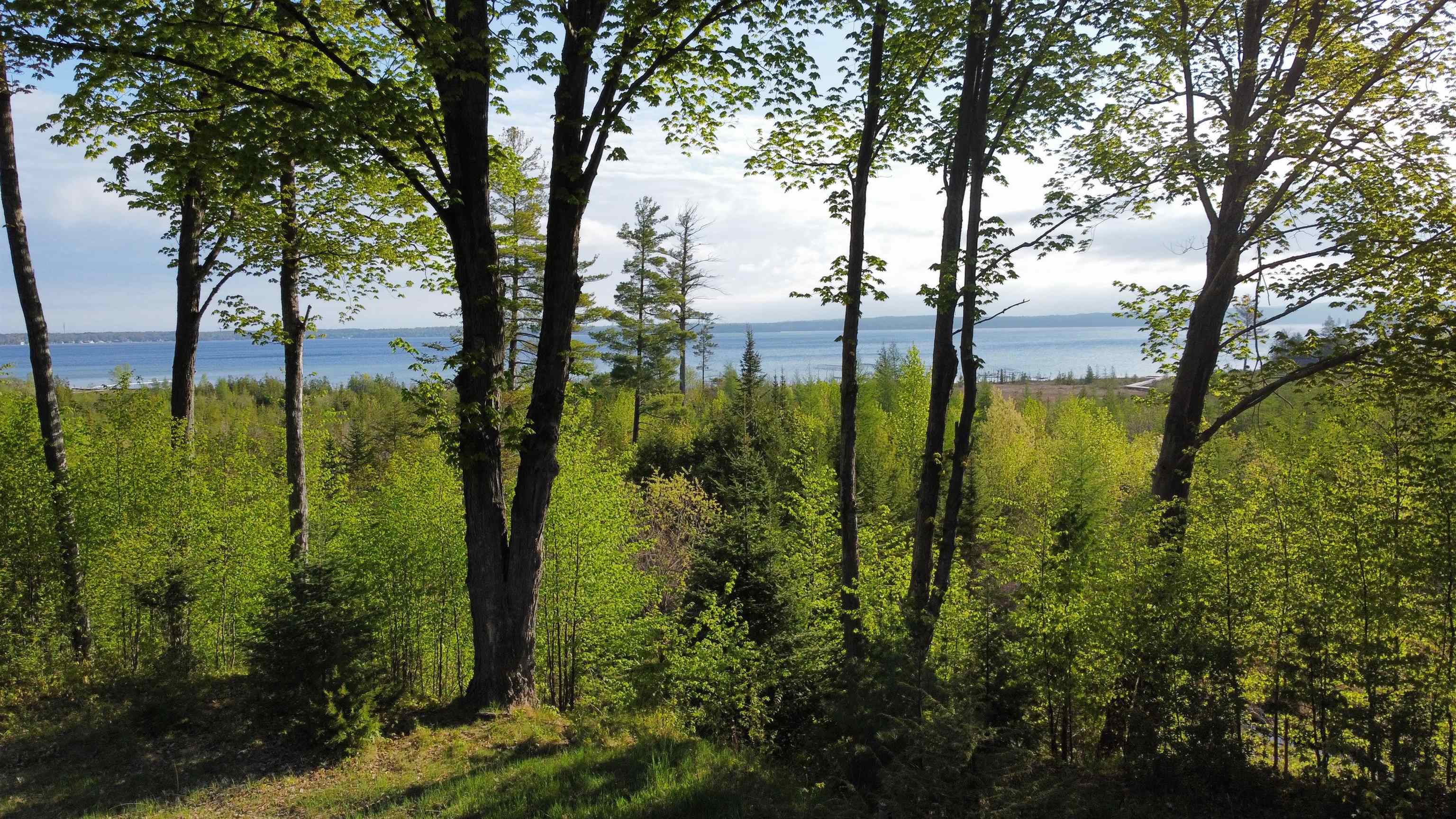 0 Robins Ridge Charlevoix, MI 49720 - Photo 6 of 16