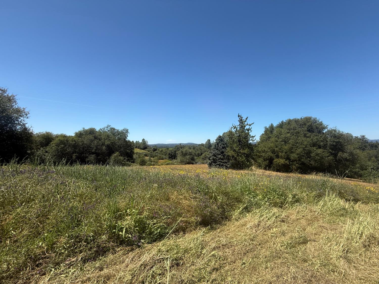2322 Myrick Road Somerset, CA 95684 - Photo 12 of 30 a view of an outdoor space and a yard