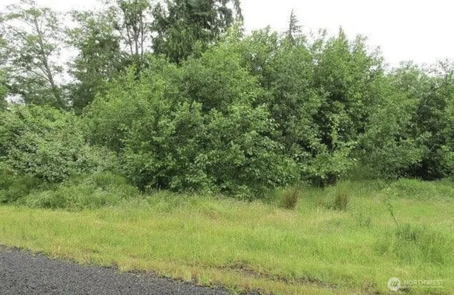 $25,000 | 0 Lomax Street, Aberdeen, WA 98520