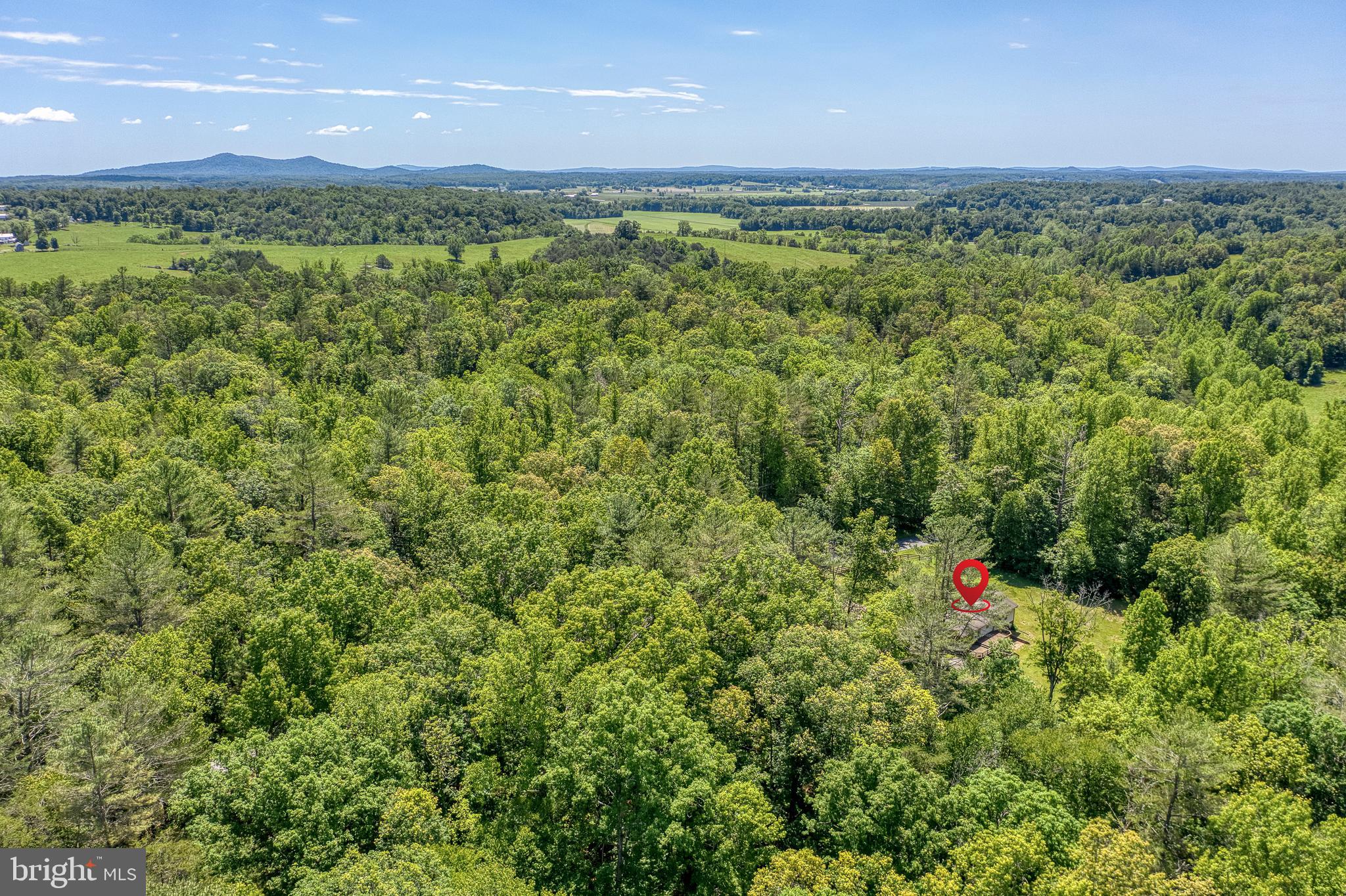 803 Weaver Hollow Road Banco, VA 22711 - Photo 58 of 67 a view of a lush green forest with lots of trees