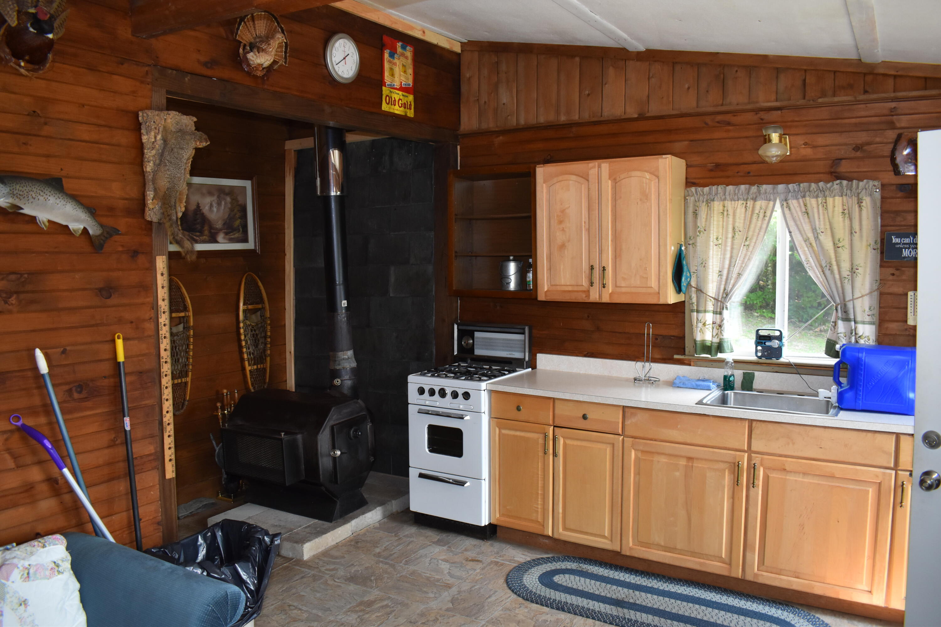 Tbd James Jipson Road West Enfield, ME 04493 - Photo 6 of 19 DSC_0059