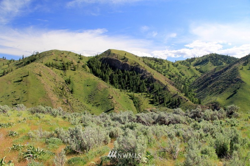 0 1 Canyon Road Waterville, WA 98858 - Photo 9 of 10 Gallery Image 9