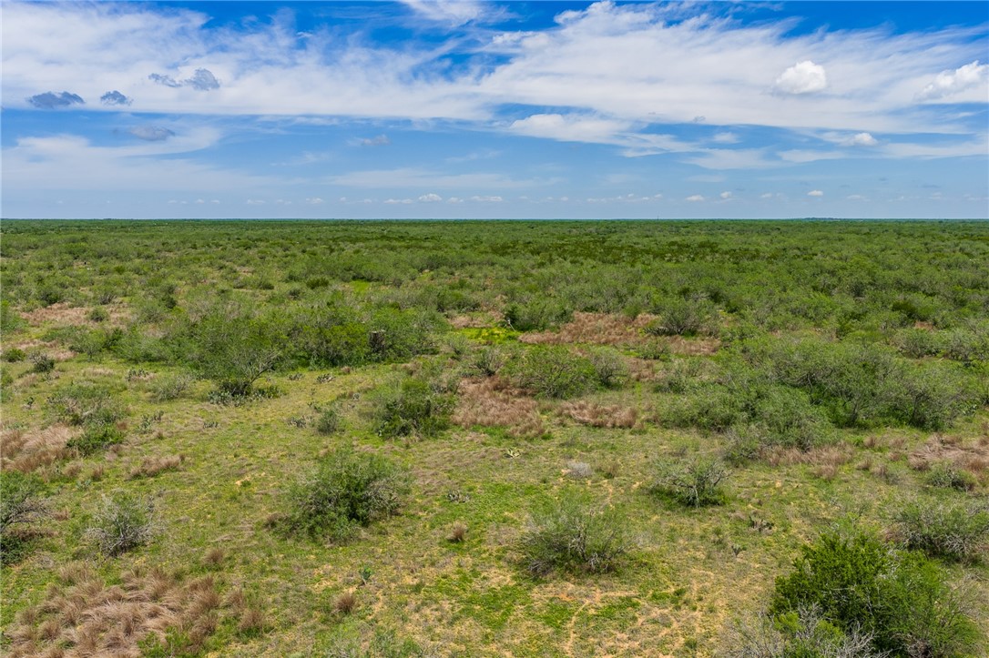 0 Fm 3249 Realitos, TX 78376 - Photo 5 of 12 a view of a yard with a house