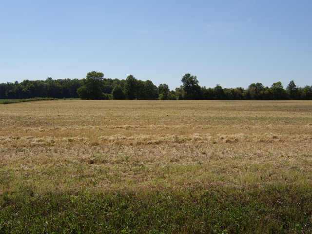 0 Marsh Road, Unit 15 Ostrander, OH 43061 - Photo 1 of 2 Gallery Image 1