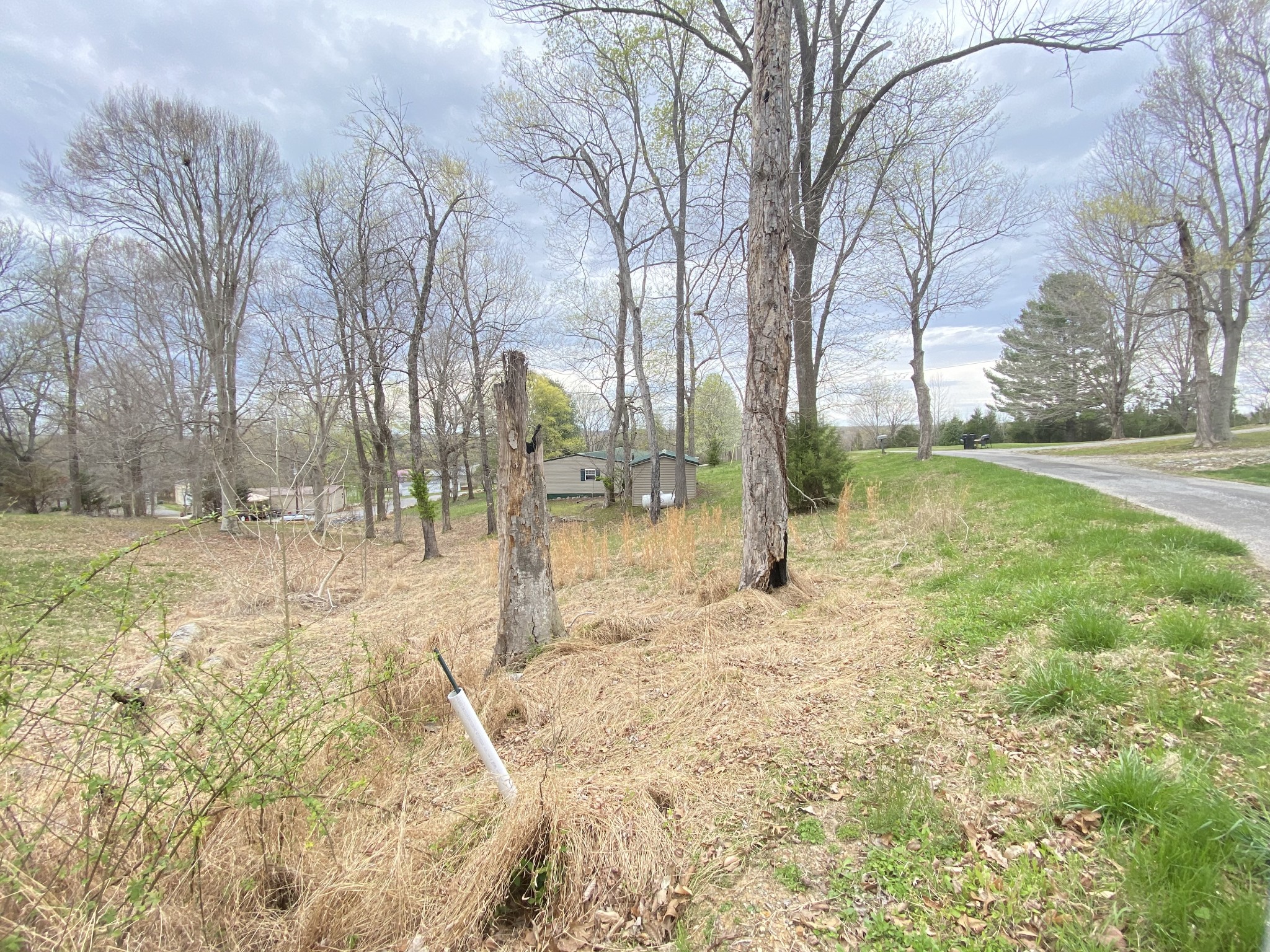 204 Pleasure Ridge Road Cadiz, KY 42211 - Photo 3 of 29 Gallery Image 3
