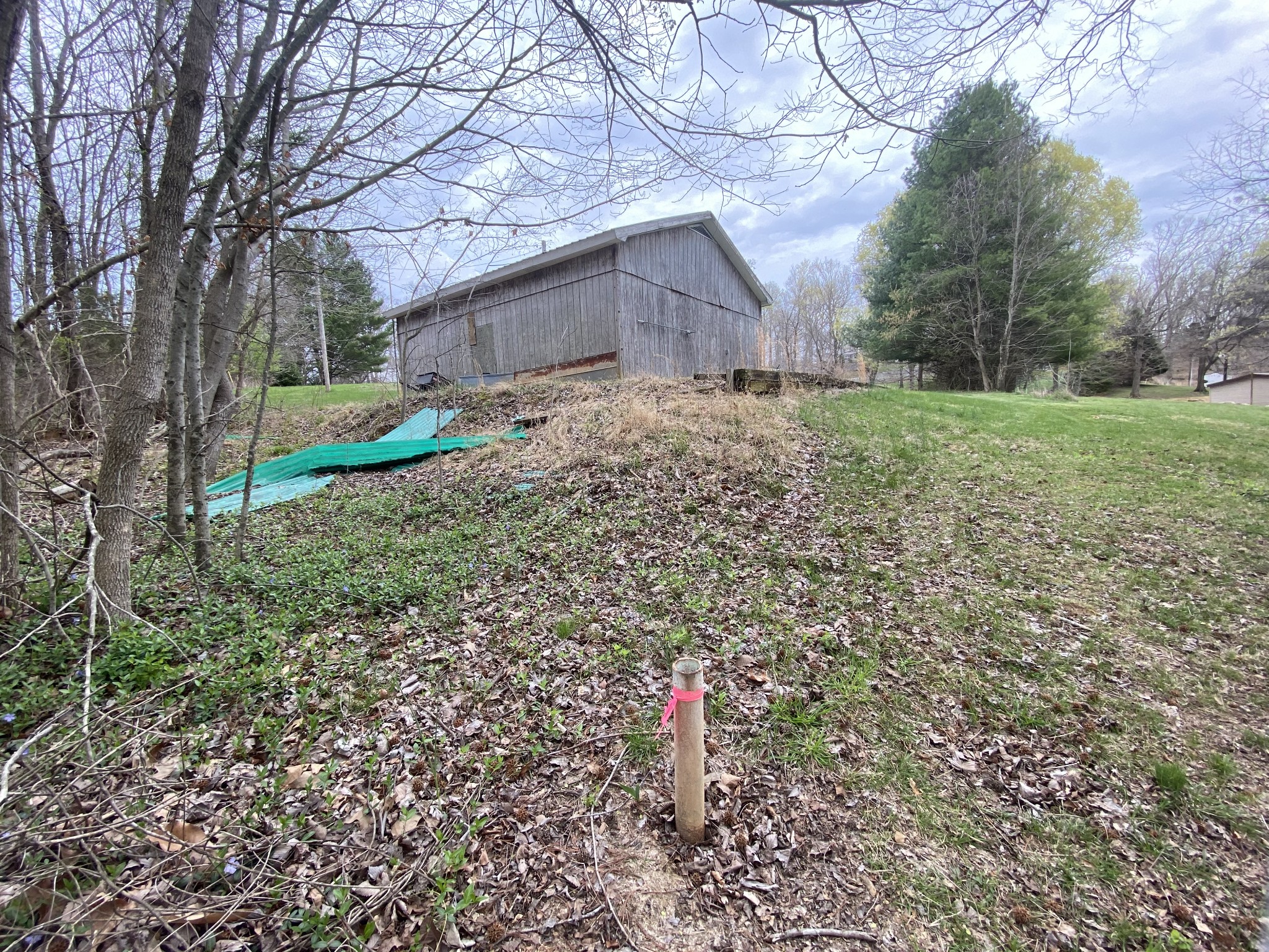 204 Pleasure Ridge Road Cadiz, KY 42211 - Photo 5 of 29 Gallery Image 5