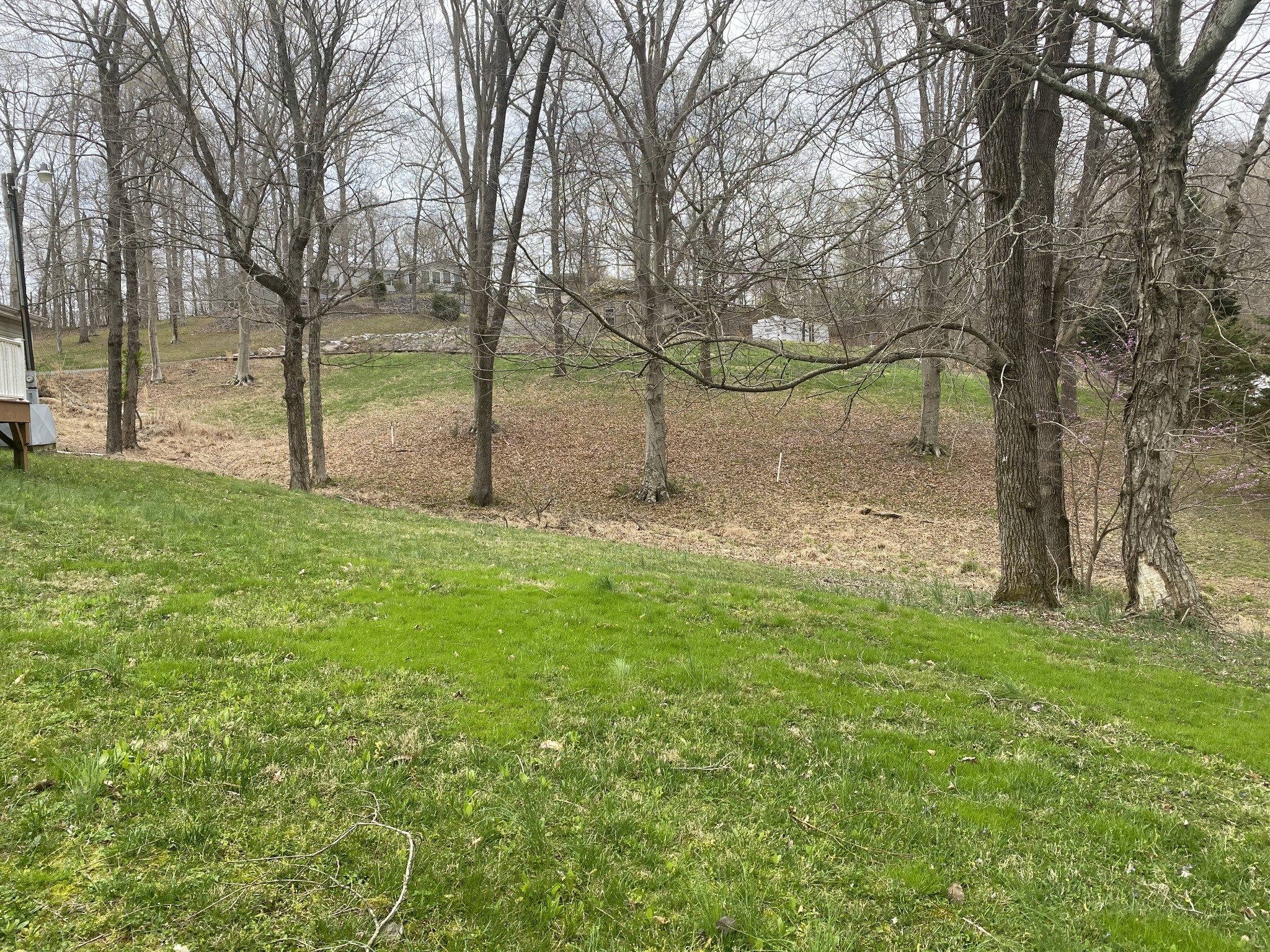 204 Pleasure Ridge Road Cadiz, KY 42211 - Photo 6 of 29 Gallery Image 6