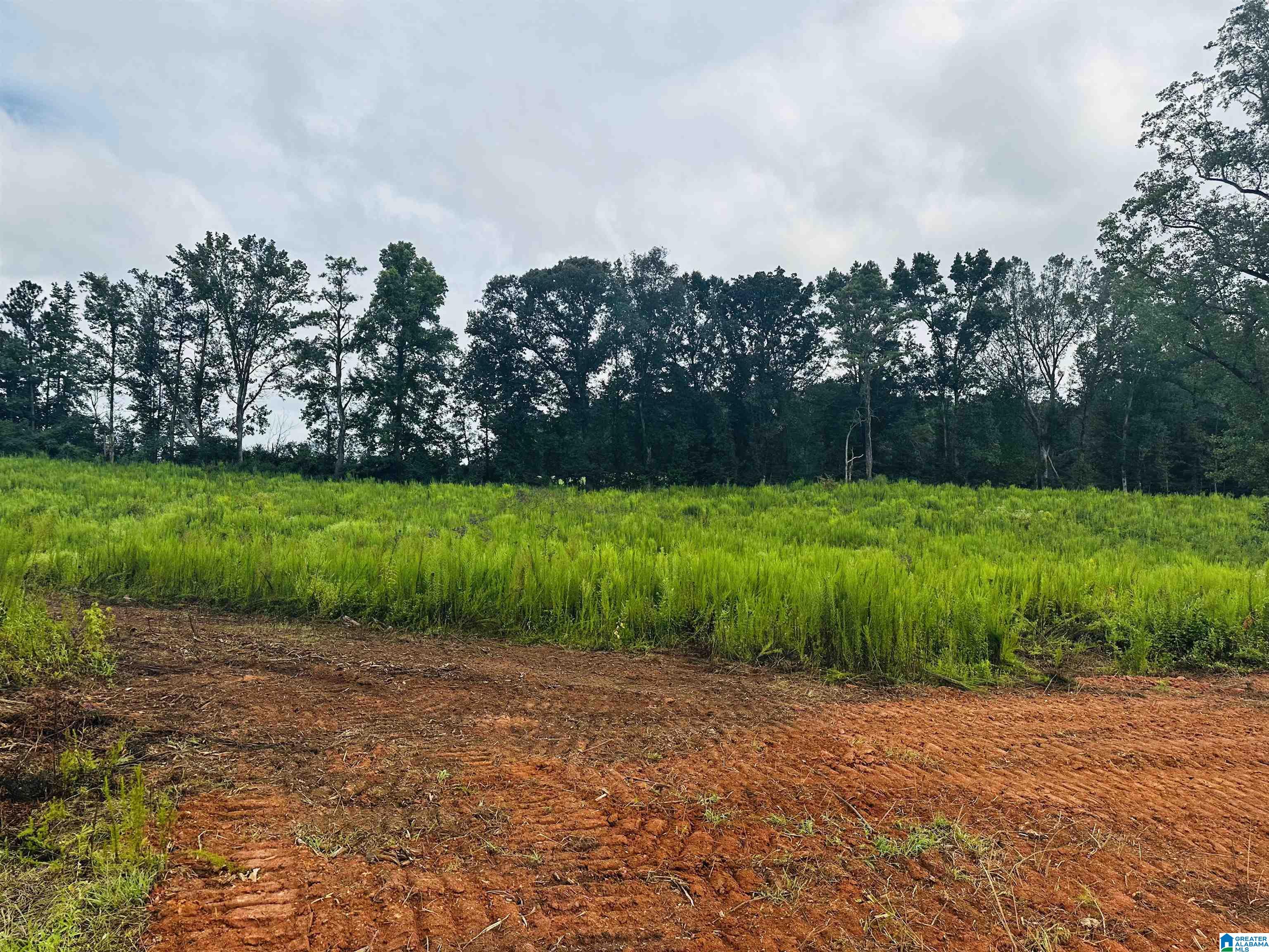 0 McVey Road Lineville, AL 36266 - Photo 5 of 7