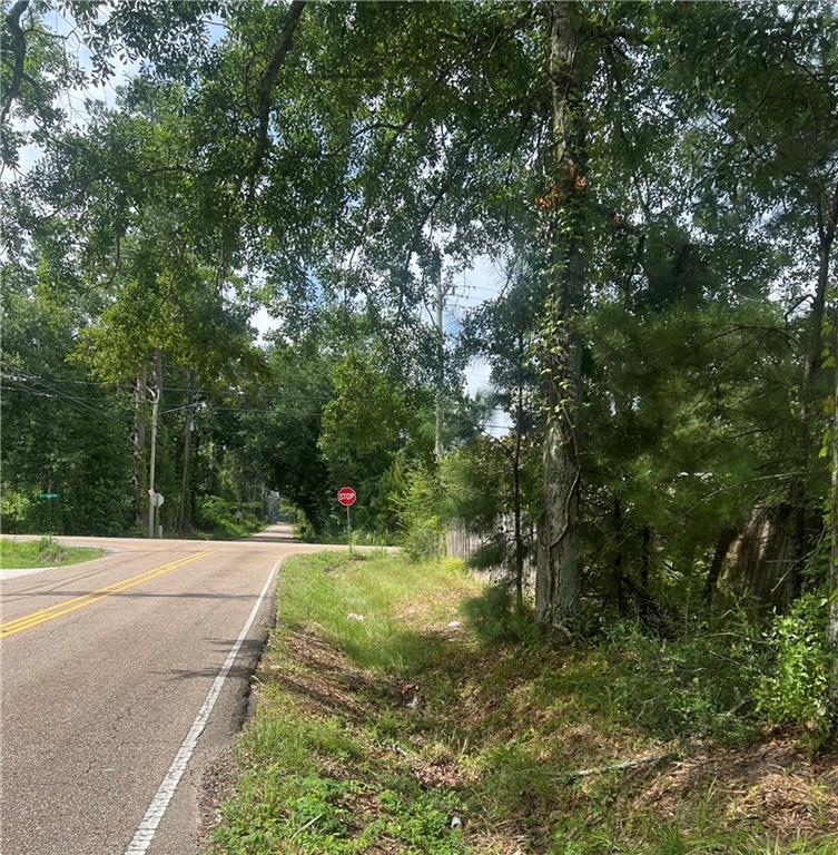 0 West Pleasant Ridge Road Hammond, LA 70403 - Photo 3 of 8