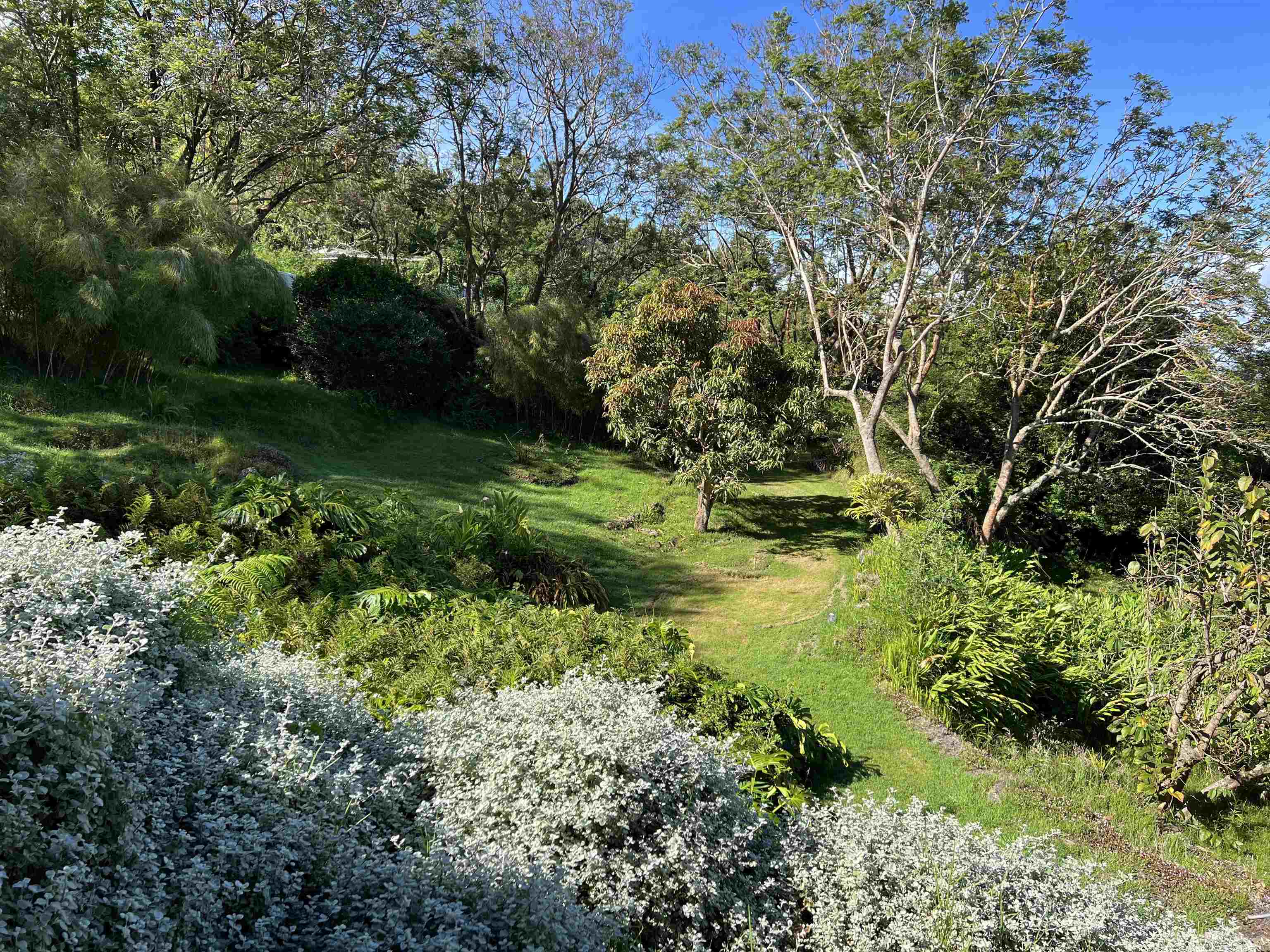 1222 Middle Road Kula, HI 96790 - Photo 2 of 6