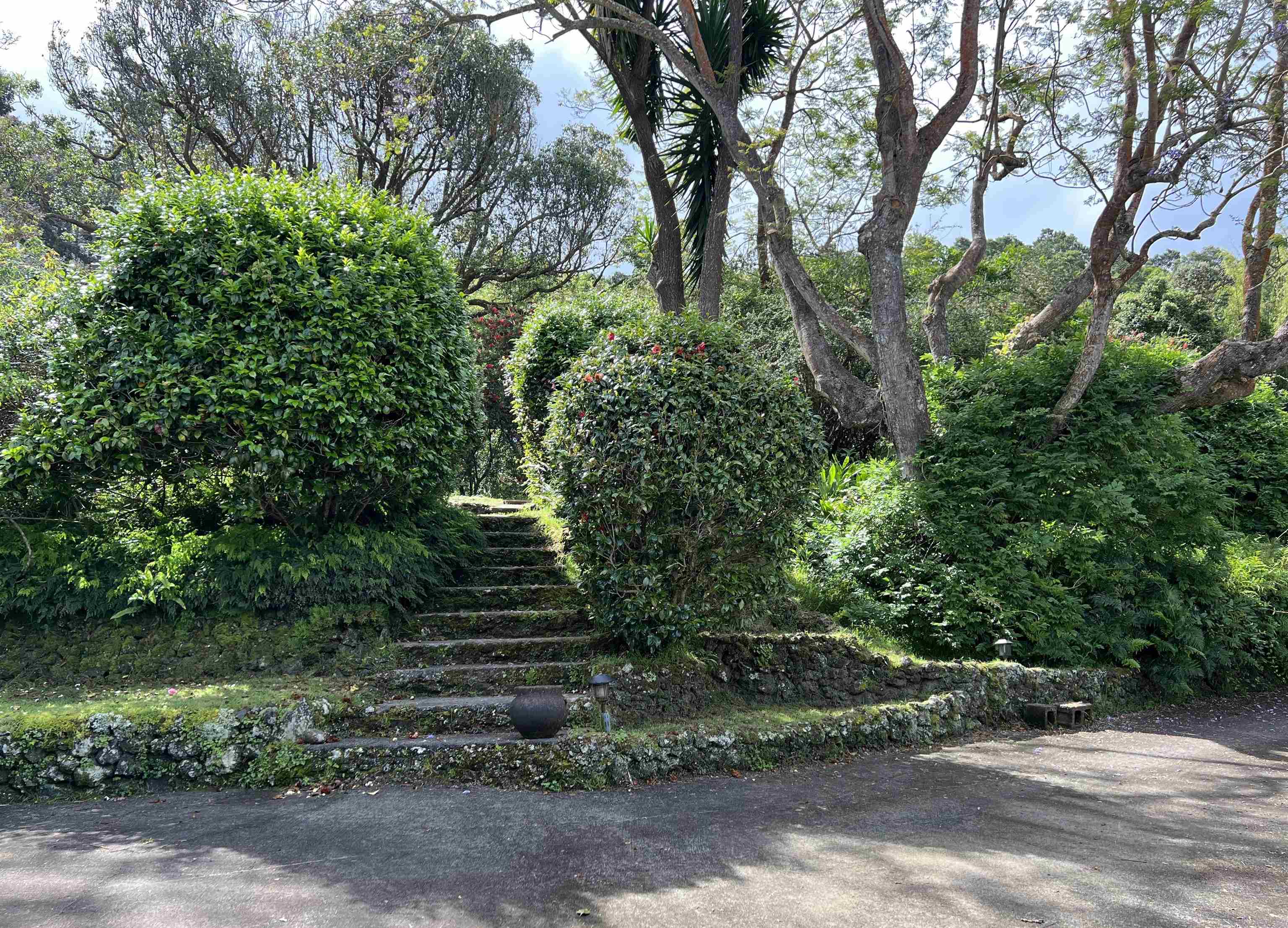 1222 Middle Road Kula, HI 96790 - Photo 3 of 6