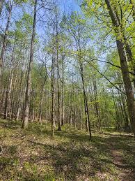 Tate Rd Acreage