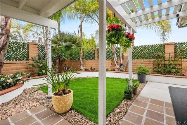 a view of a potted plants on th patio