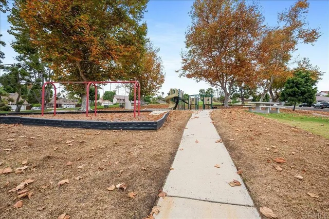 a view of a yard with trees