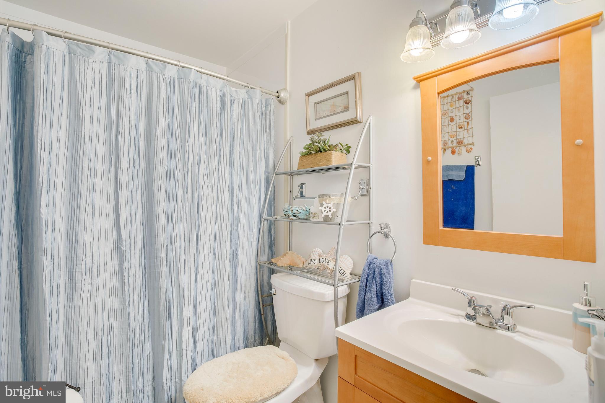256 Candytuft Road Reisterstown, MD 21136 - Photo 25 of 37 a bathroom with a sink a toilet and shower curtain