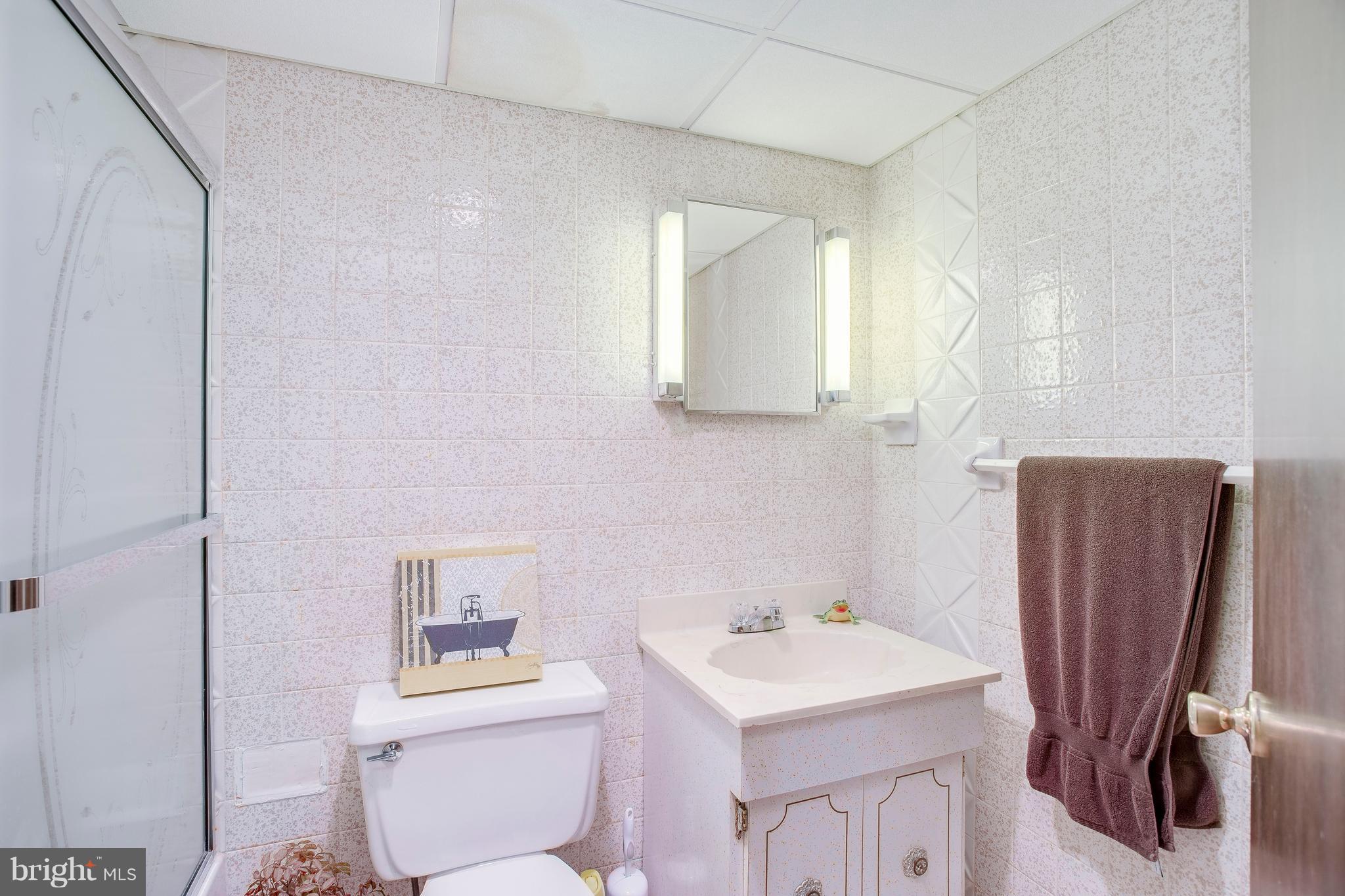 256 Candytuft Road Reisterstown, MD 21136 - Photo 30 of 37 a bathroom with a sink a toilet and a mirror