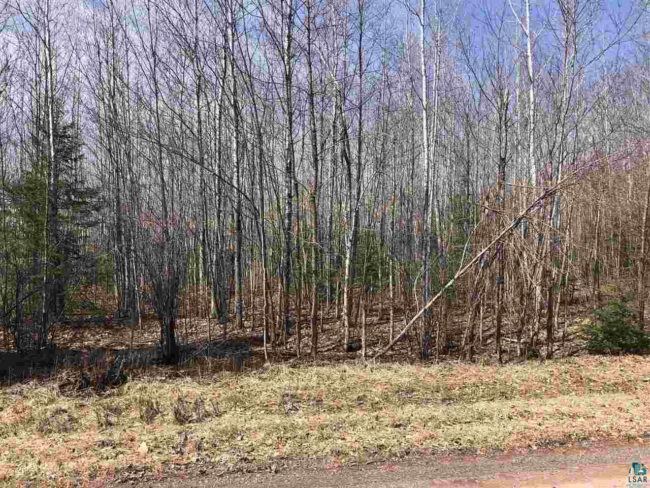 4 Brothers Loop Road Solon Springs, WI 54873 - Photo 7 of 12 Gallery Image 7