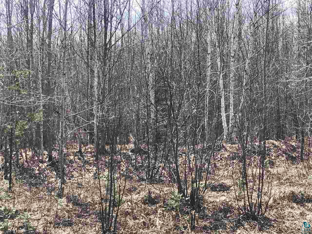 4 Brothers Loop Road Solon Springs, WI 54873 - Photo 10 of 12 Gallery Image 10