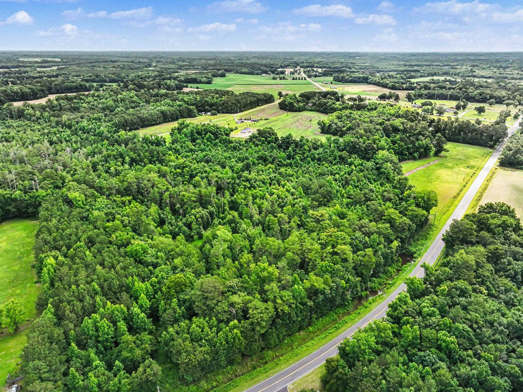 Tbd Tbd Mitchell Sea Rd Green Green Sea, SC 29545 - Photo 21 of 28