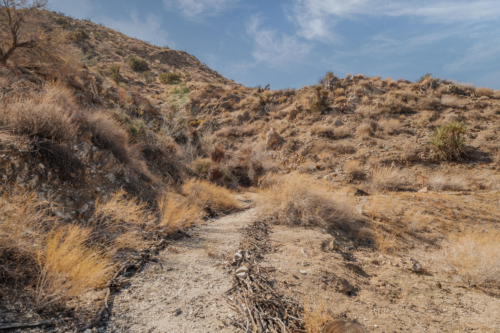 53019 Apache Trail Morongo Valley, CA 92256 - Photo 31 of 37 a view of a large building with trees in the background