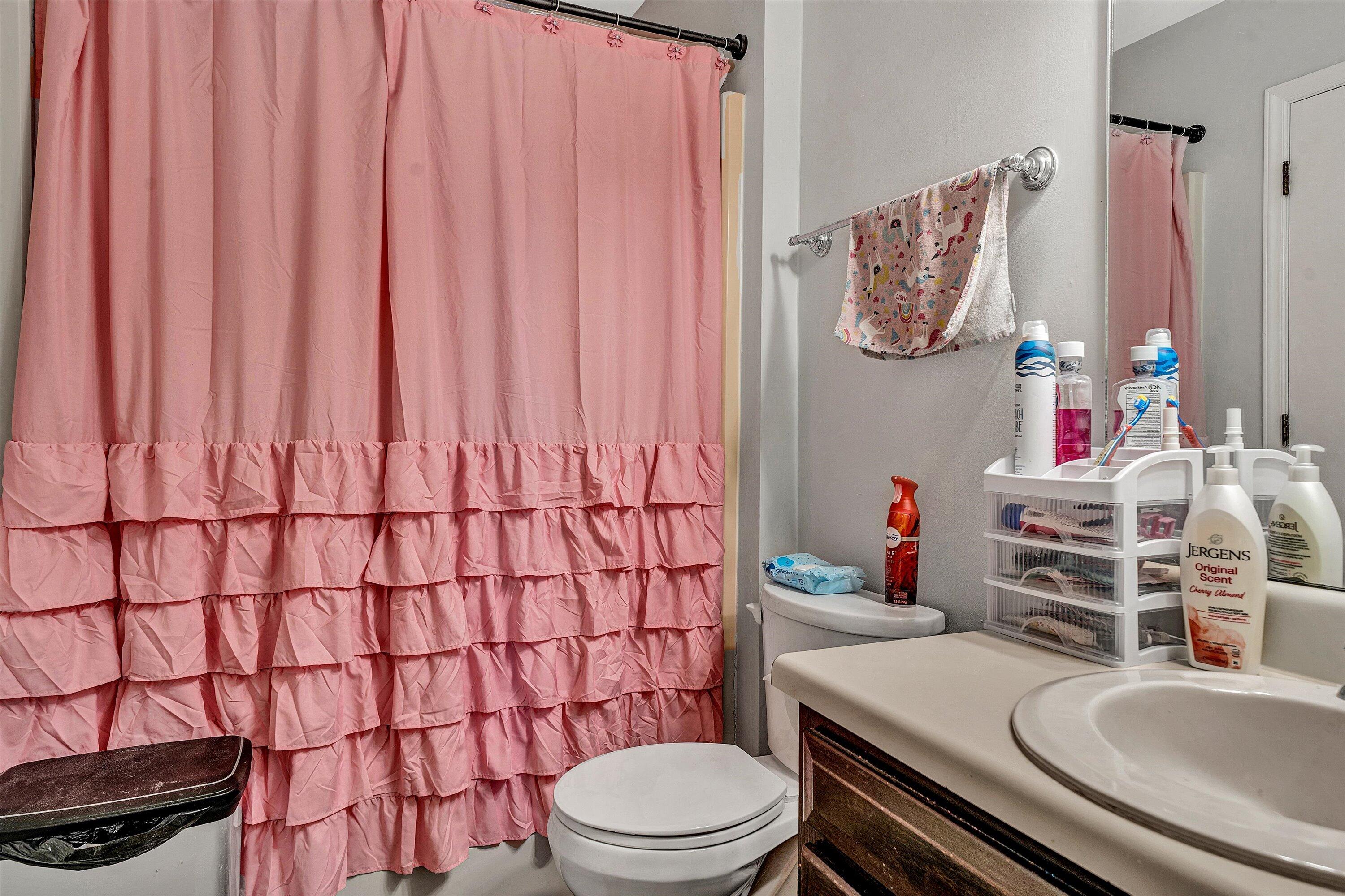 3309 Forest Ridge Road Roanoke, VA 24018 - Photo 10 of 18 a bathroom with a sink a toilet and shower curtain