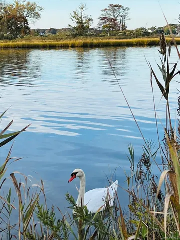 a ocean view with boat and palm trees