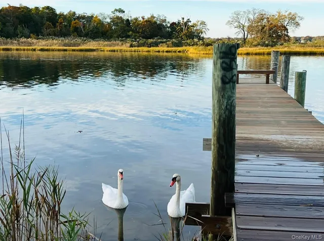 a lake view with beach and lake view