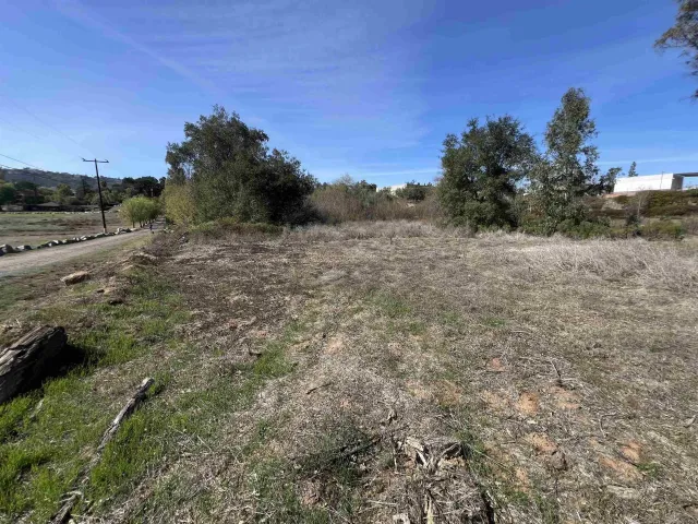 a view of a dry yard with trees
