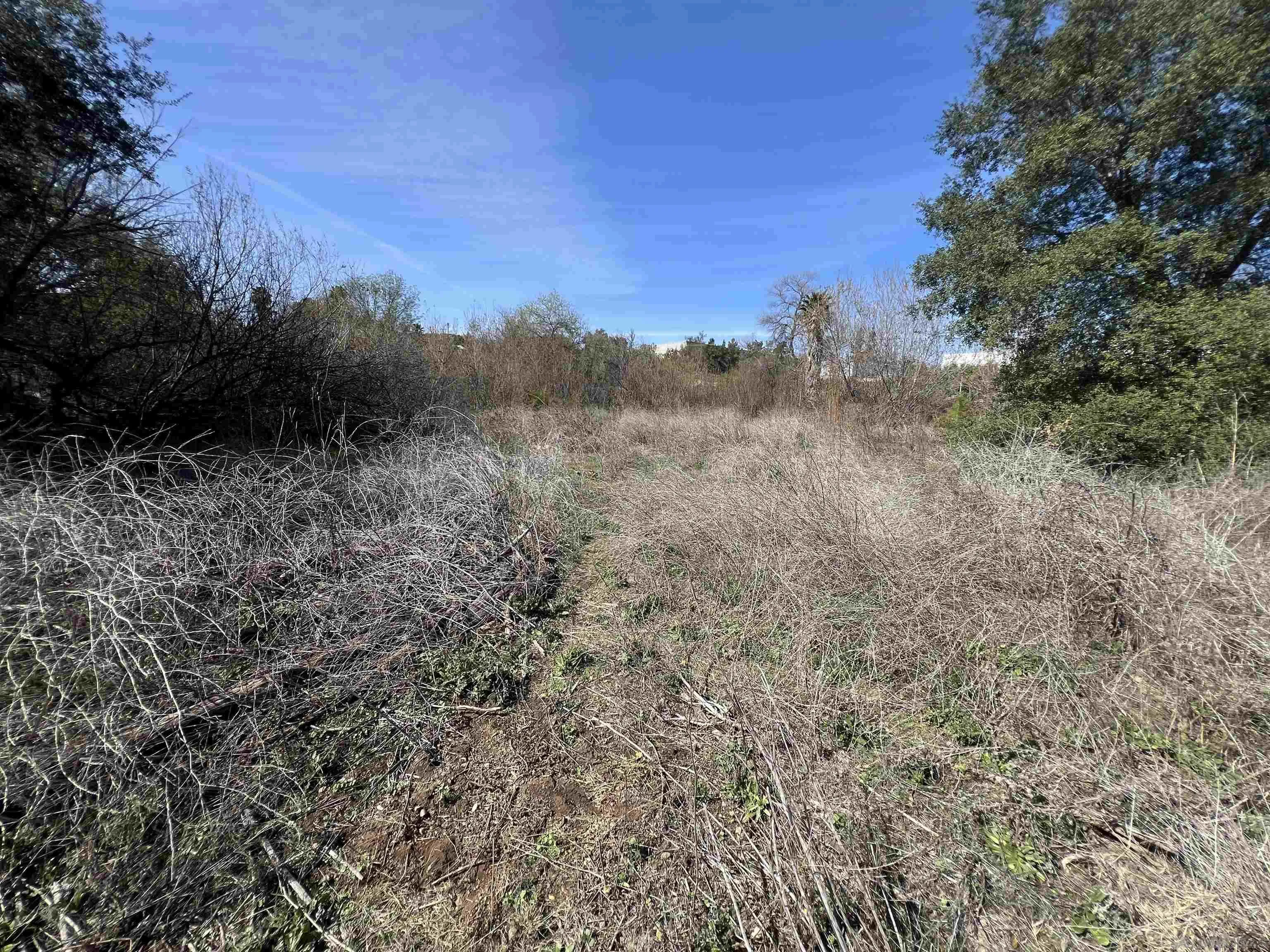 0 Country Club Drive Escondido, CA 92025 - Photo 13 of 16 a view of a dry yard with trees