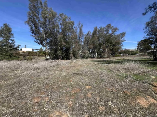 a view of a dry yard with trees