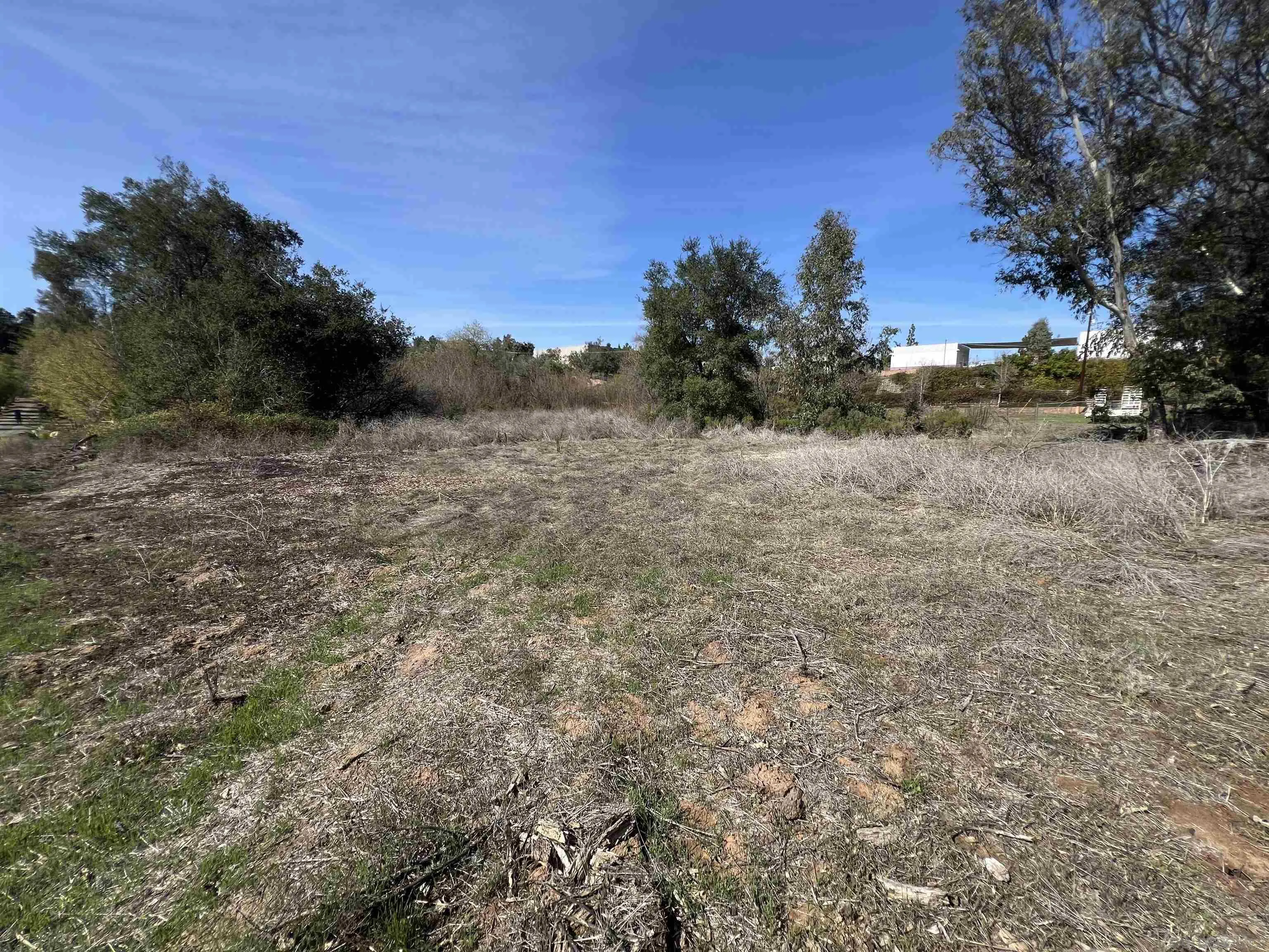 0 Country Club Drive Escondido, CA 92025 - Photo 5 of 16 a view of a dry yard with trees