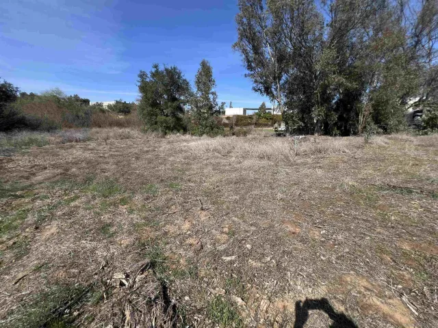 a view of dirt yard with a large tree