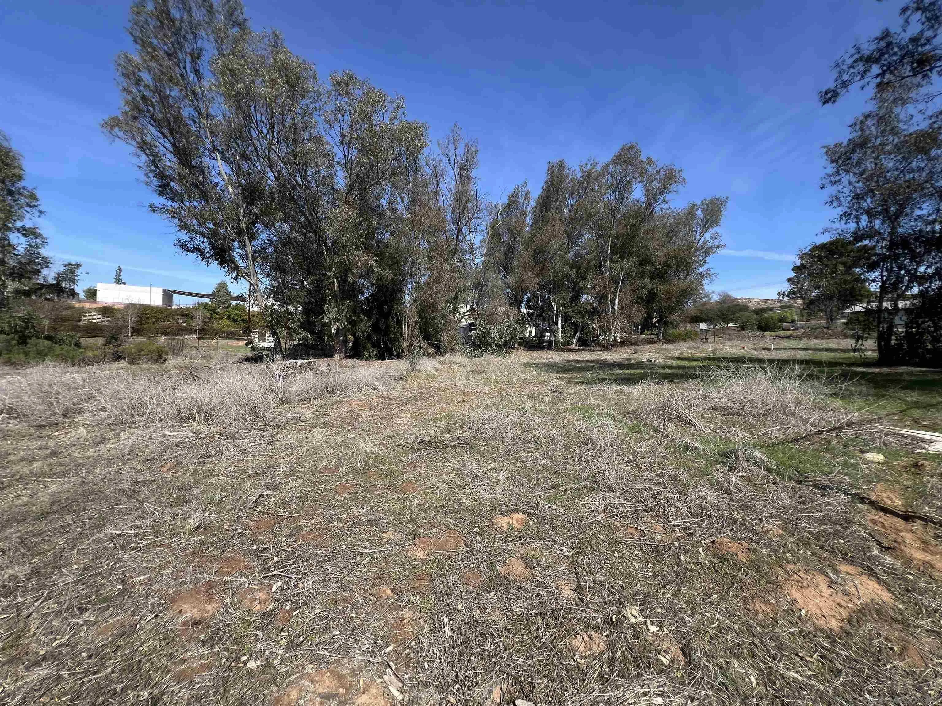 0 Country Club Drive Escondido, CA 92025 - Photo 7 of 16 a view of dirt yard with a large tree