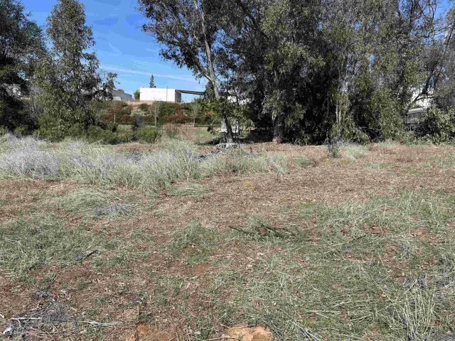 a view of a dry yard
