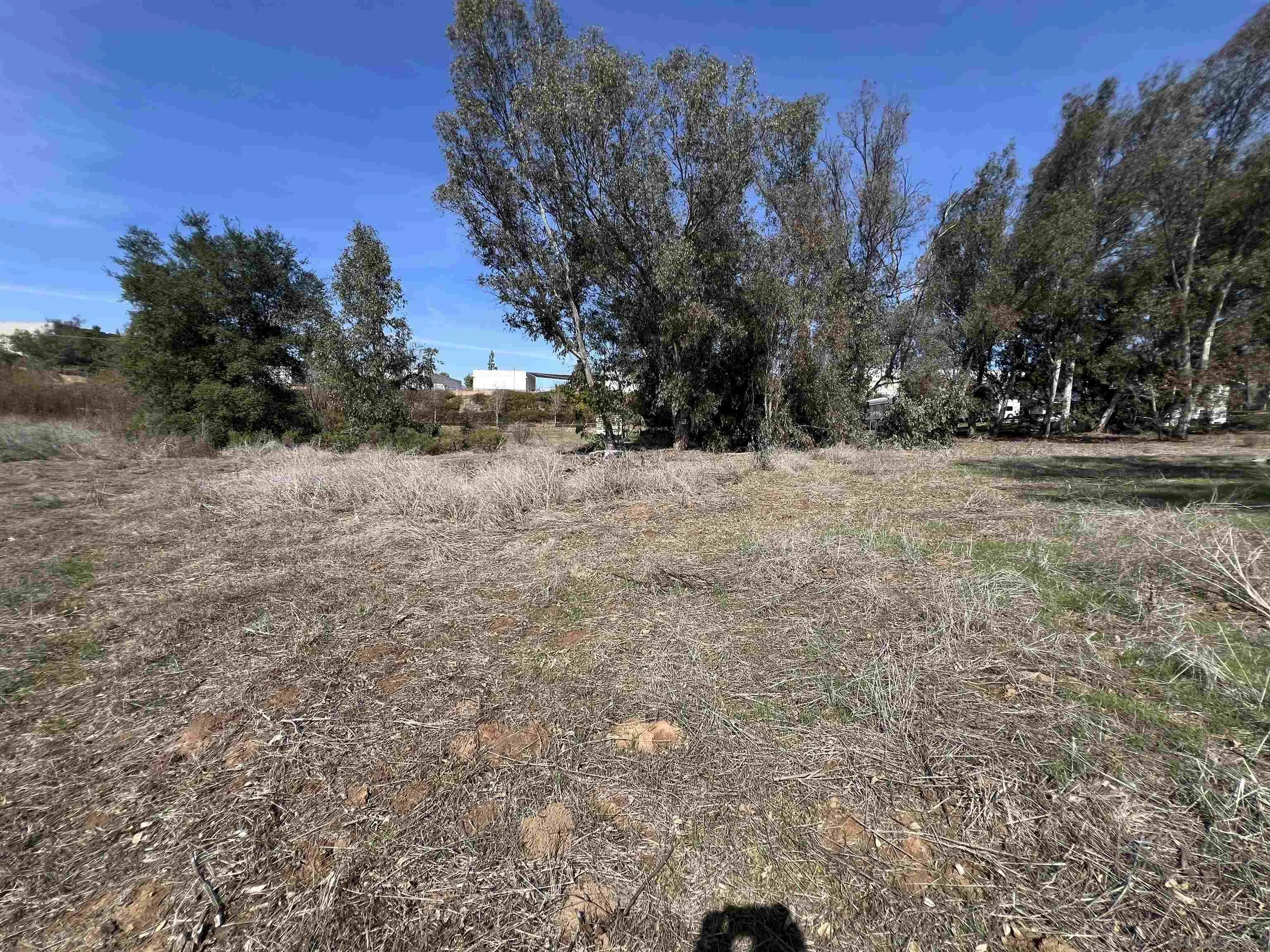 0 Country Club Drive Escondido, CA 92025 - Photo 10 of 16 a view of large trees with mountain view