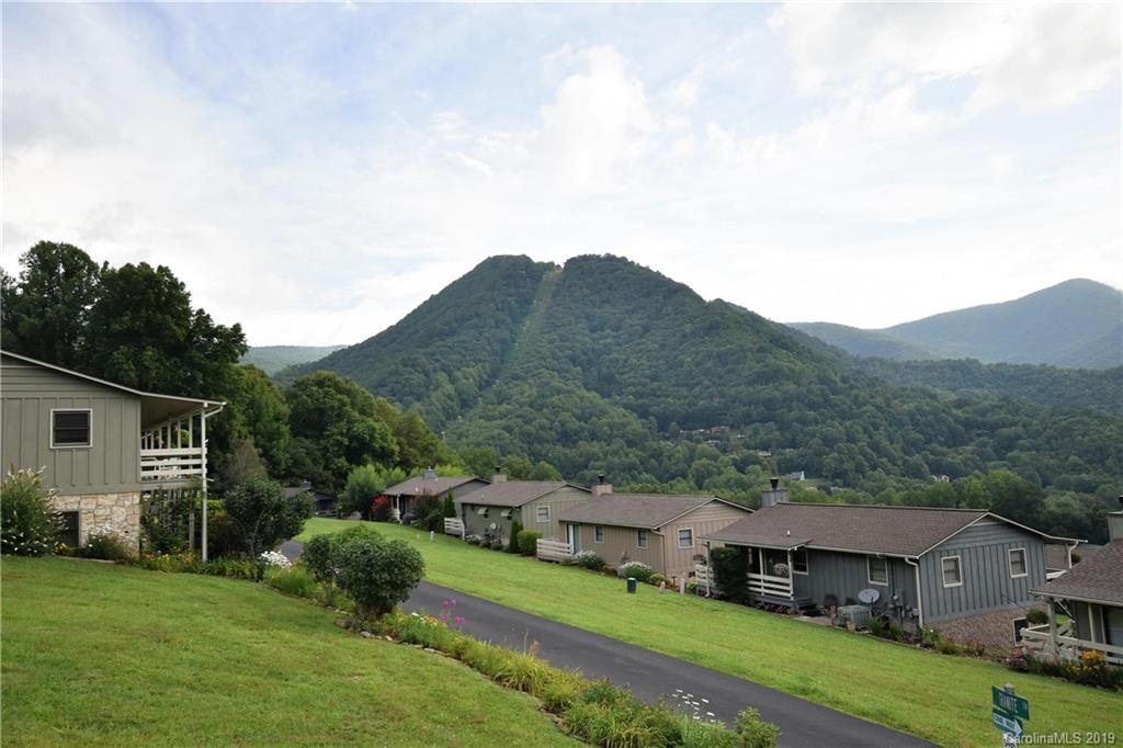 318 Stoney Ridge Loop Maggie Valley, NC 28751 - Photo 5 of 25 a view of house with a big yard