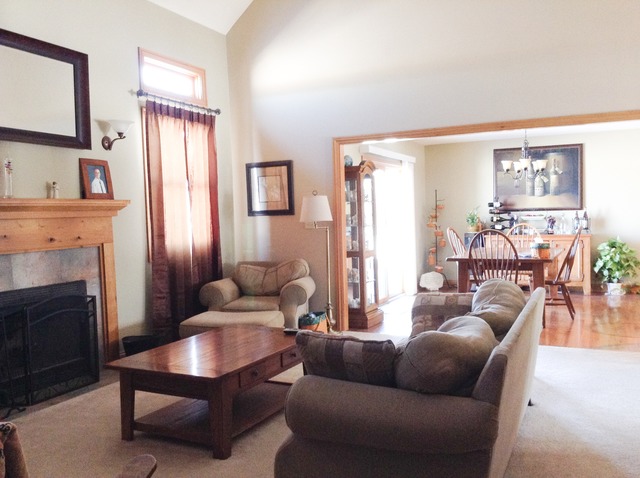 3529 East 2089th Road Serena, IL 60549 - Photo 5 of 19 a living room with furniture a fireplace and a window