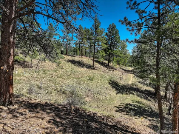 $50,000 | 0 Hayden Ridge Road, Evergreen, CO 80439
