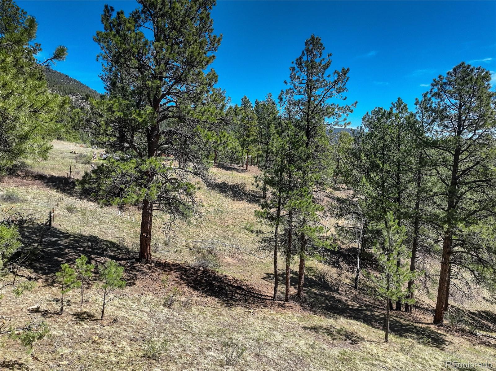 0 Hayden Ridge Road Evergreen, CO 80439 - Photo 12 of 14