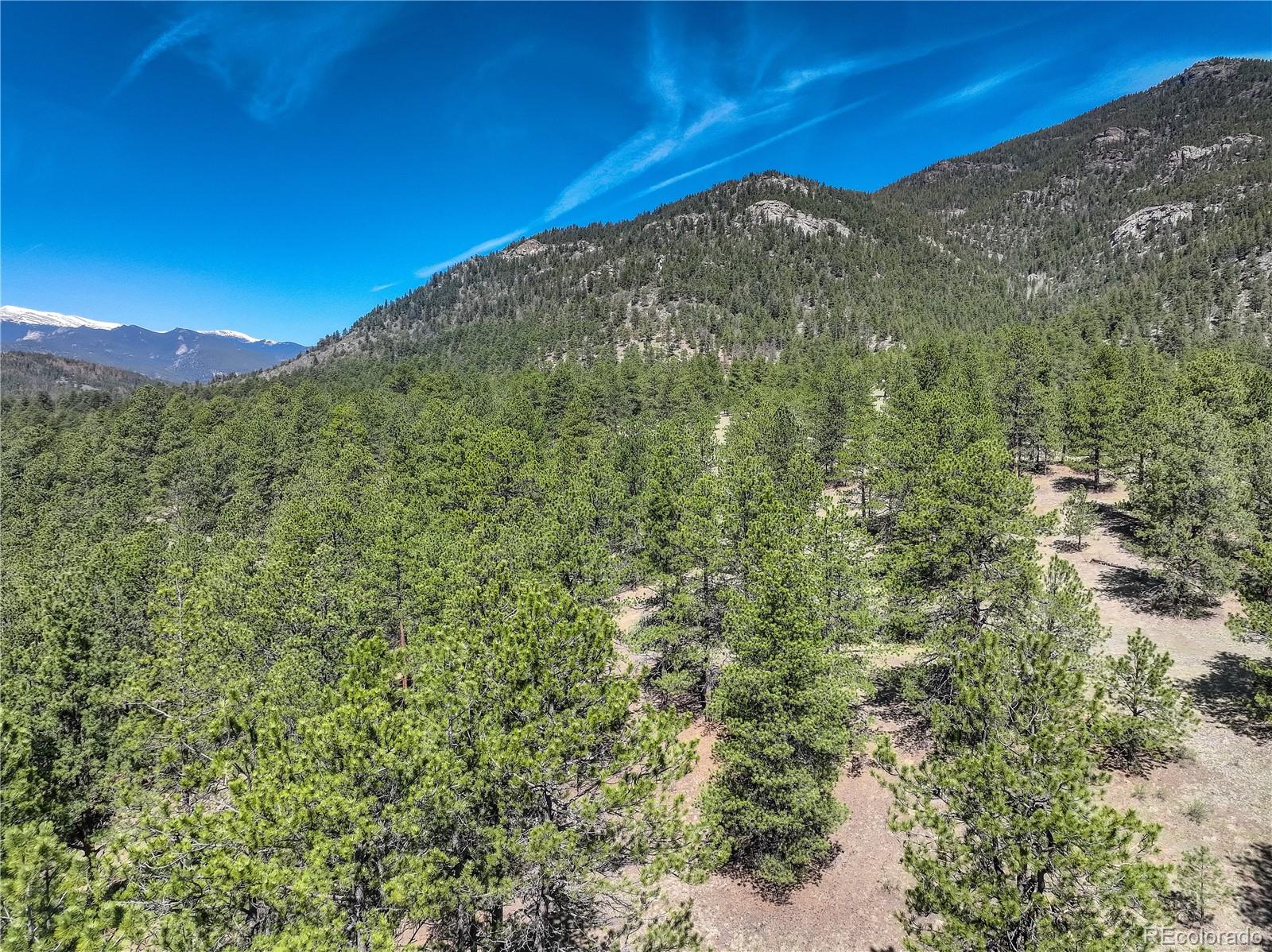 0 Hayden Ridge Road Evergreen, CO 80439 - Photo 14 of 14