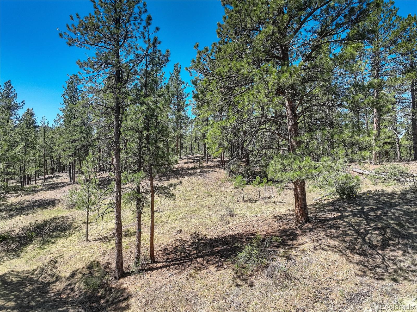 0 Hayden Ridge Road Evergreen, CO 80439 - Photo 2 of 14