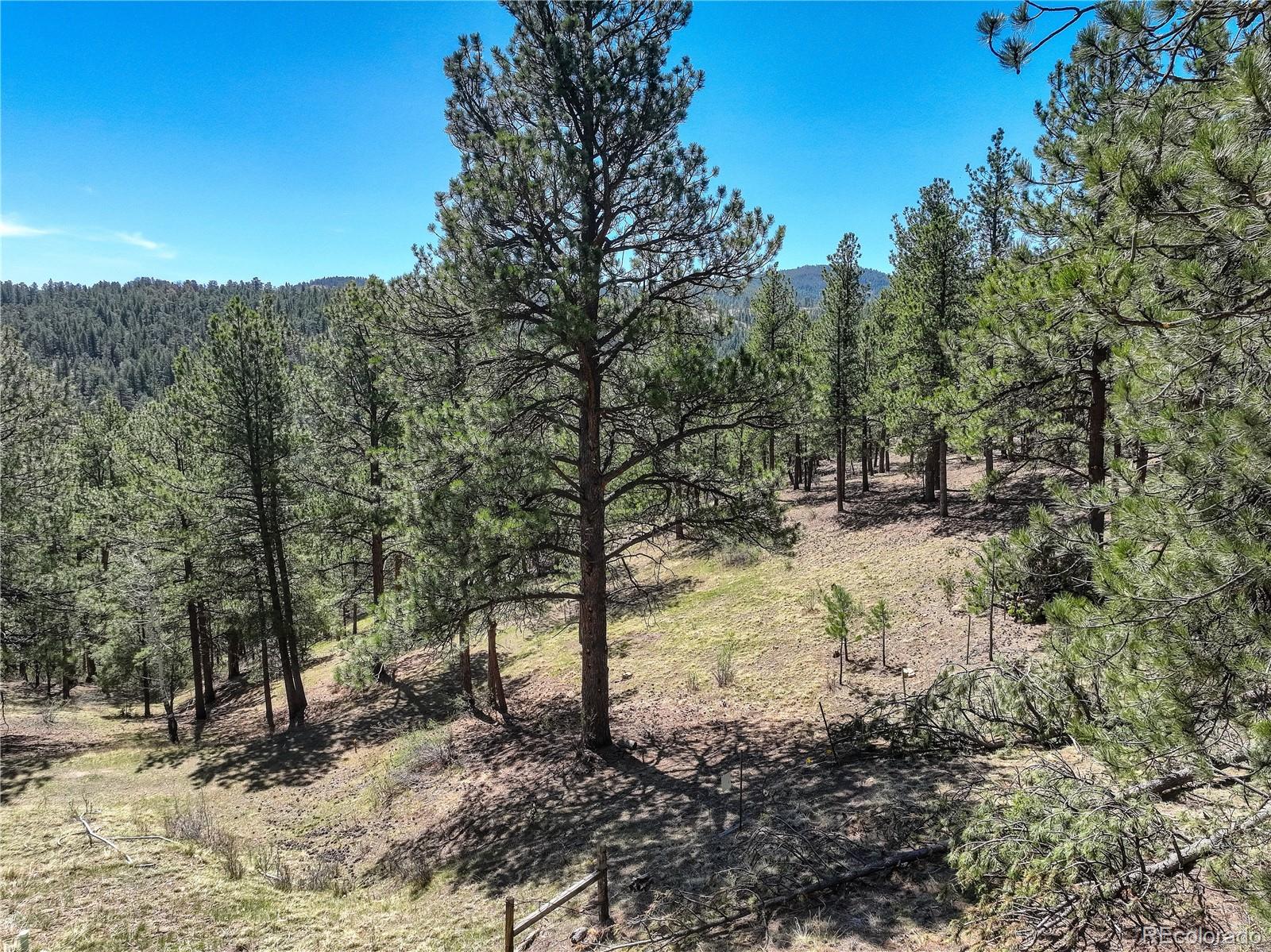 0 Hayden Ridge Road Evergreen, CO 80439 - Photo 3 of 14